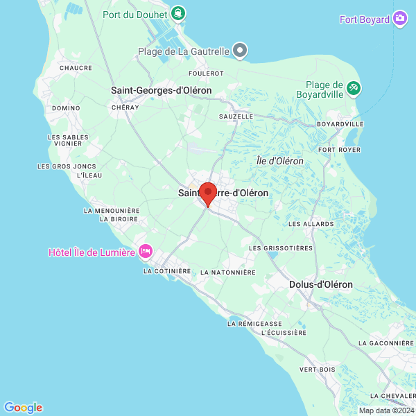 google map