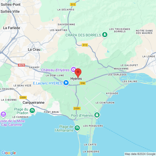 google map