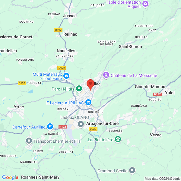 google map