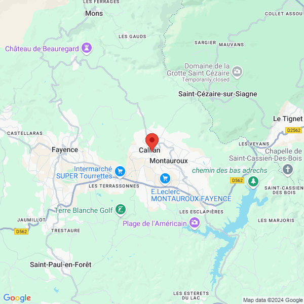 google map