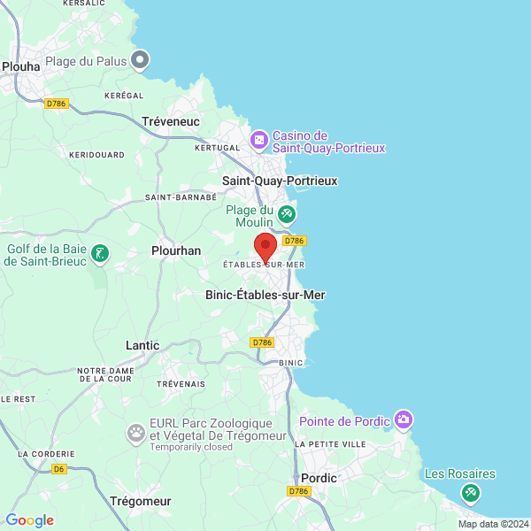 google map