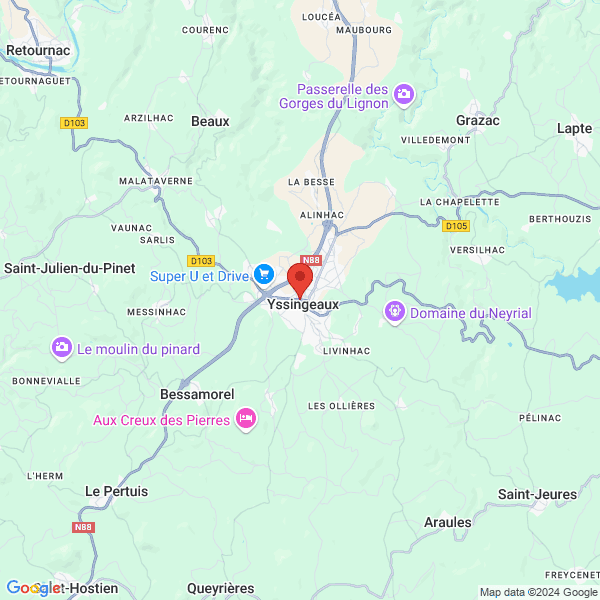google map