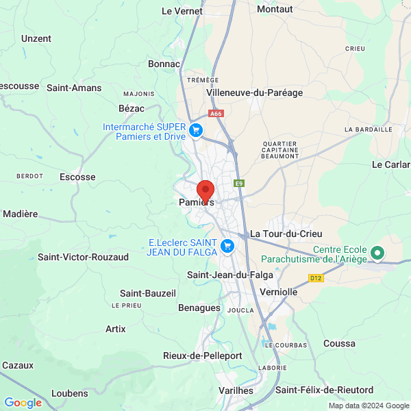 google map