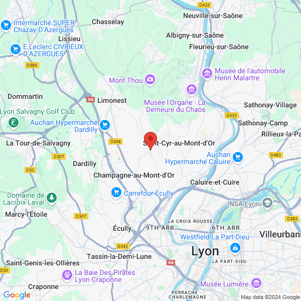 google map