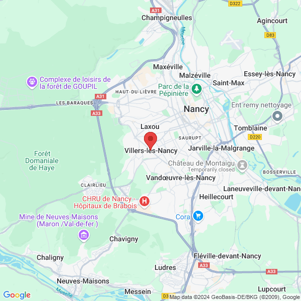 google map