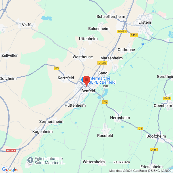 google map