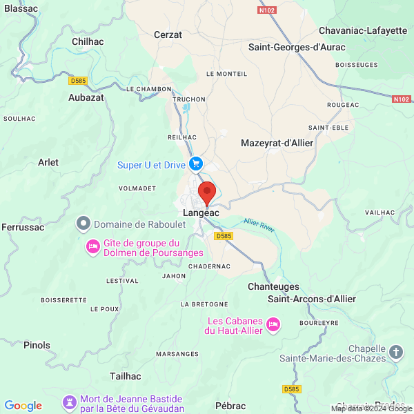 google map