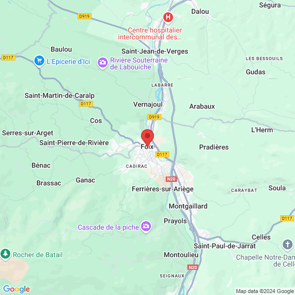 google map