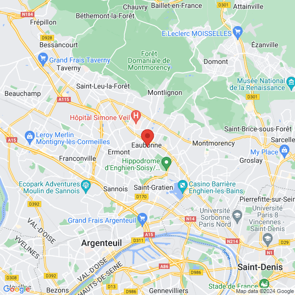 google map