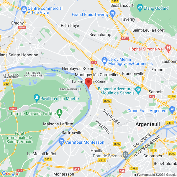 google map