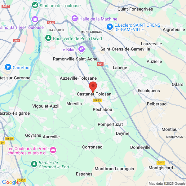google map