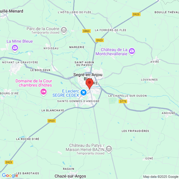 google map