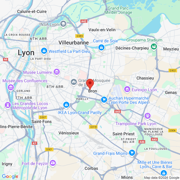 google map