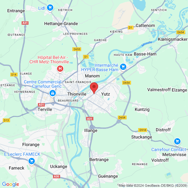 google map