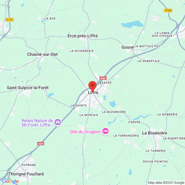 google map