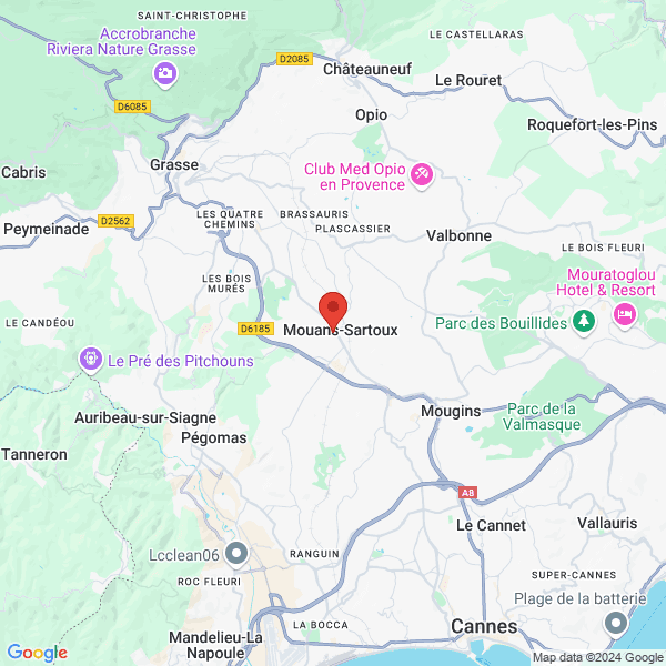 google map