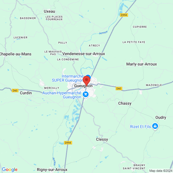 google map