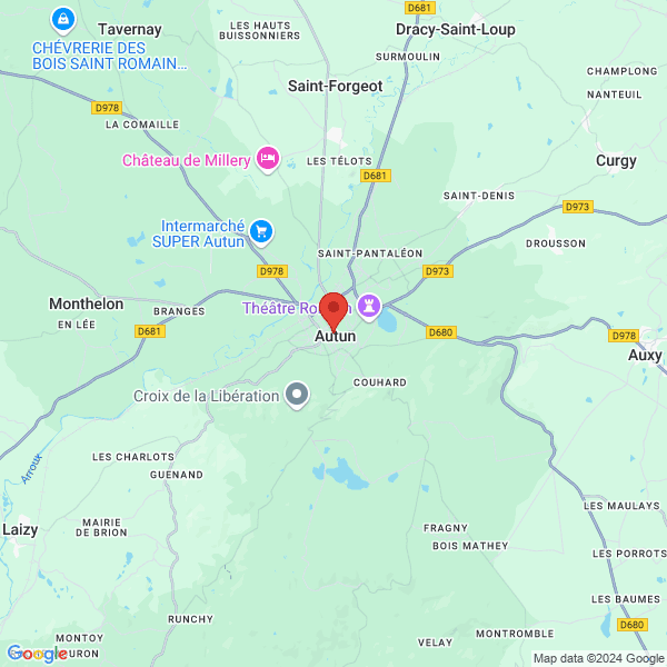 google map
