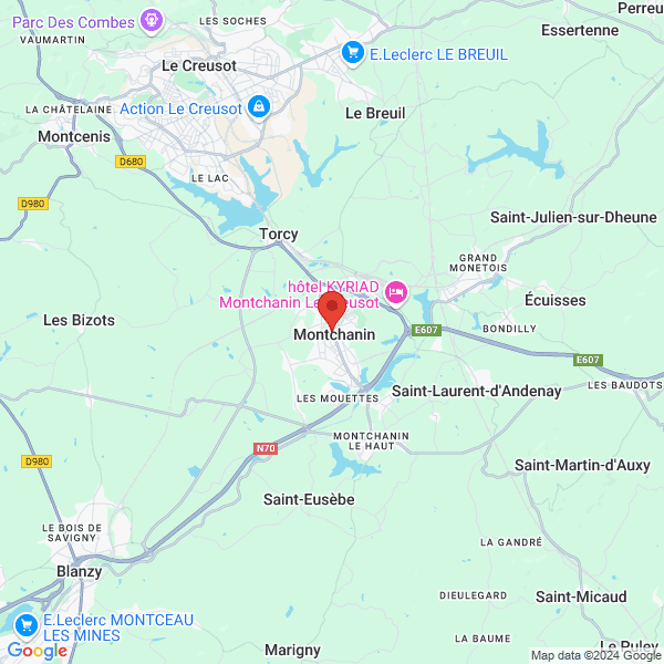 google map