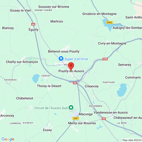 google map