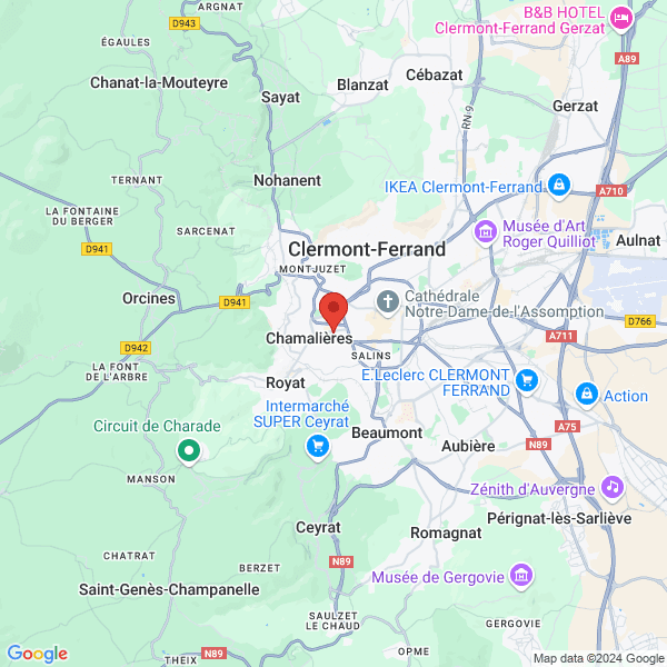 google map