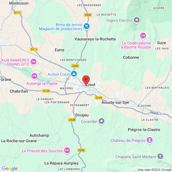 google map