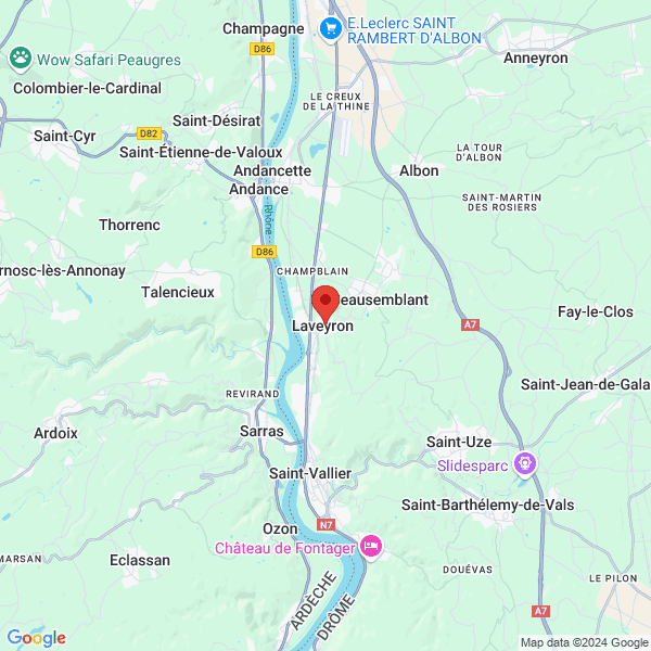 google map