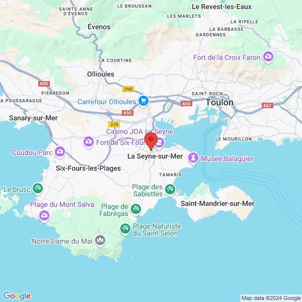 google map