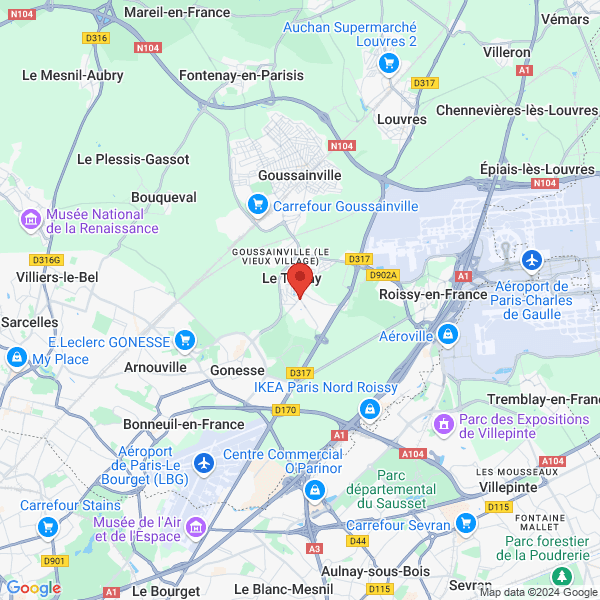 google map