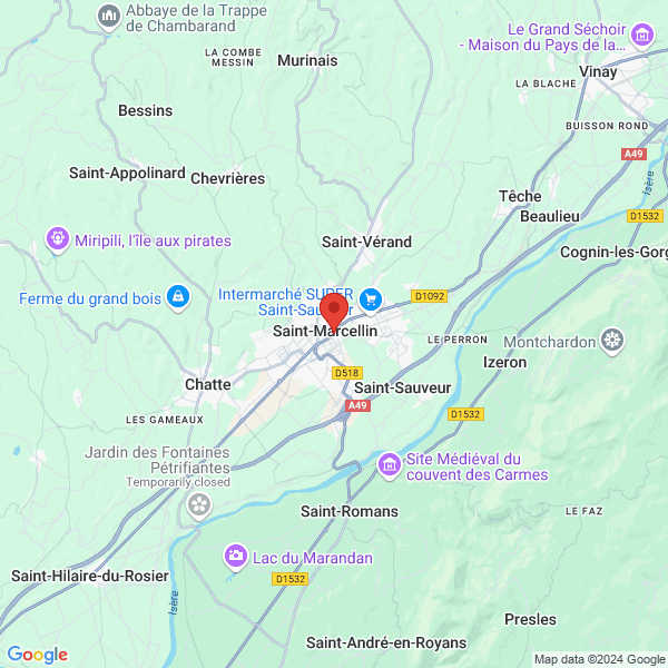 google map
