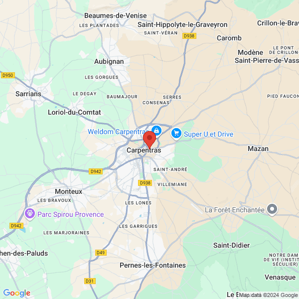 google map