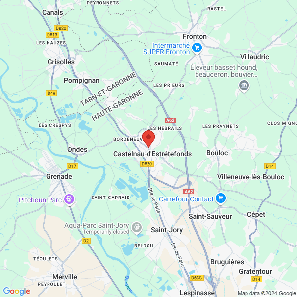 google map