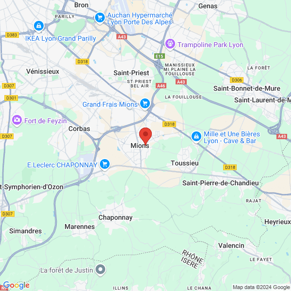 google map