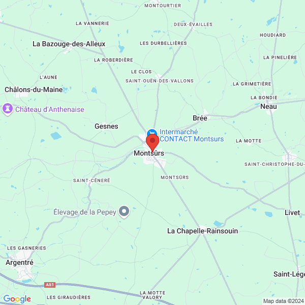 google map
