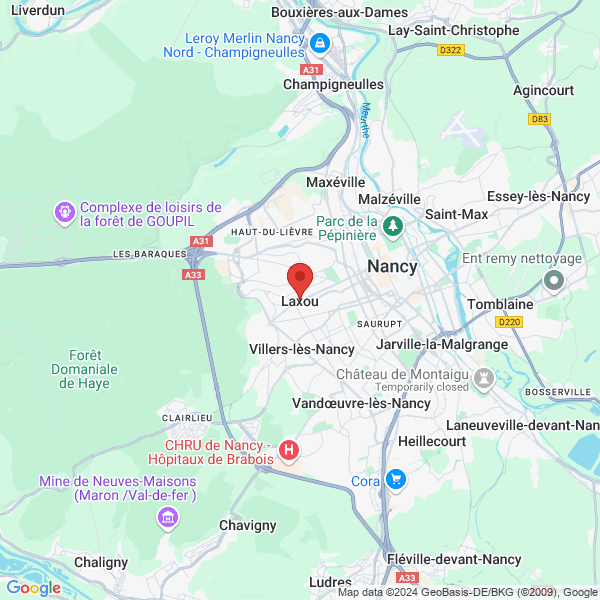 google map