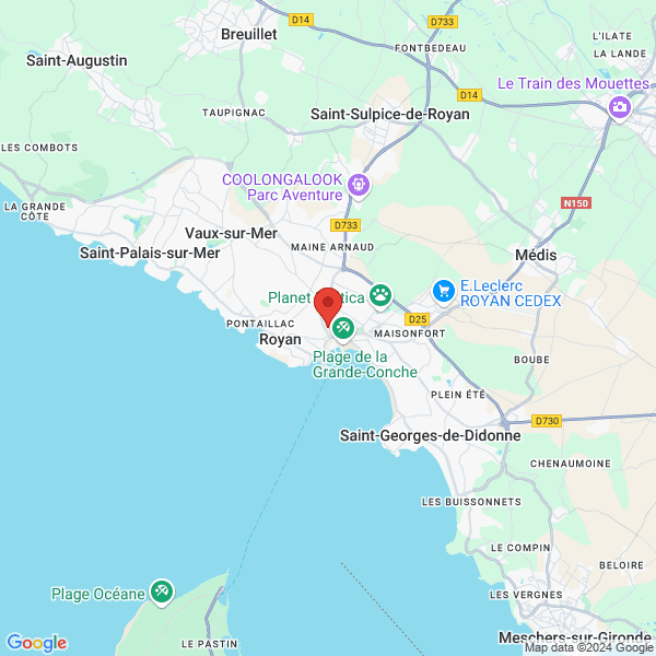 google map
