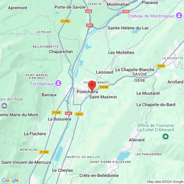 google map