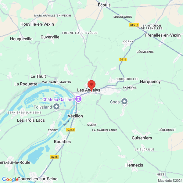 google map