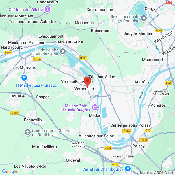 google map
