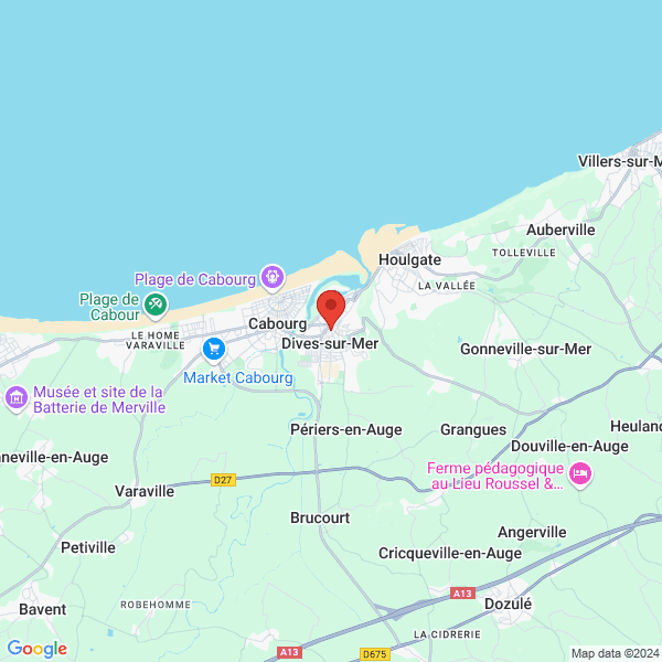 google map