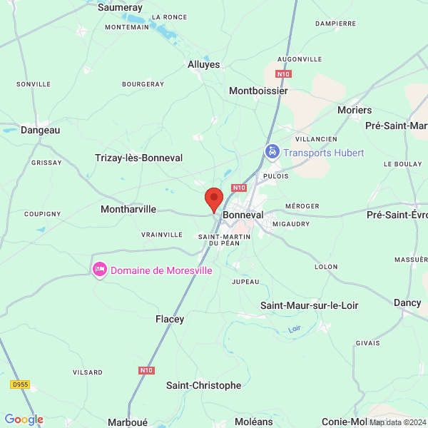 google map