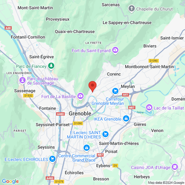 google map
