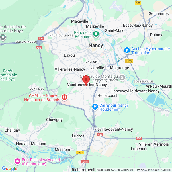 google map