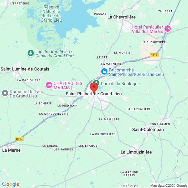 google map