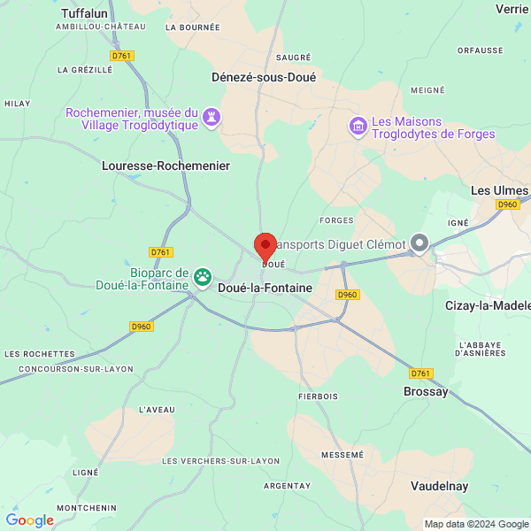 google map