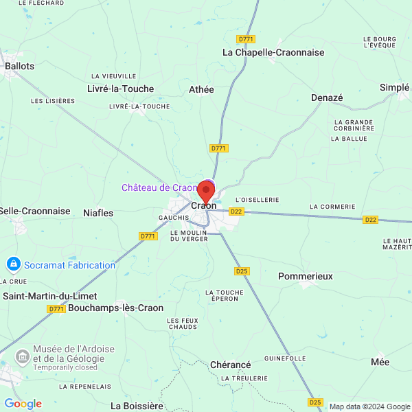 google map