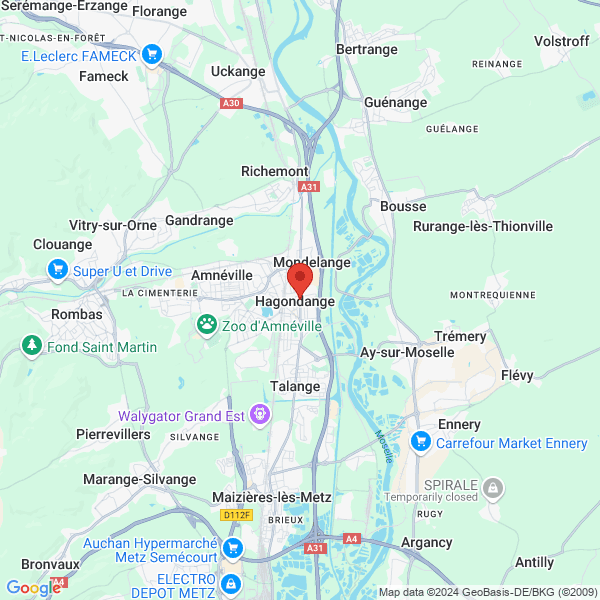 google map