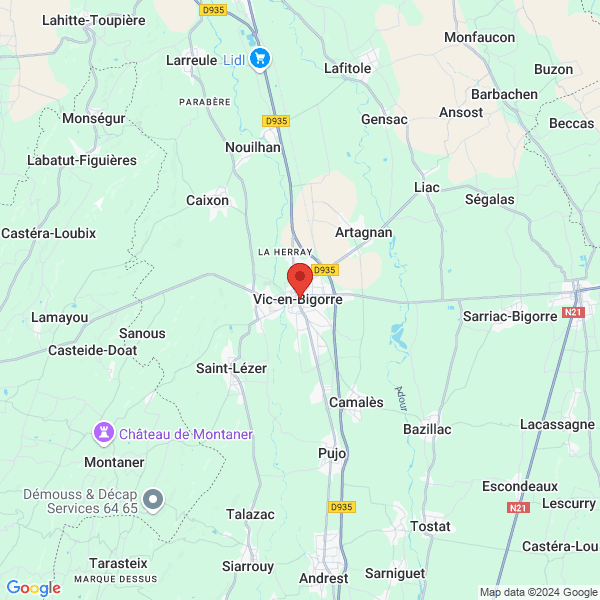 Vic-en-Bigorre - Google map