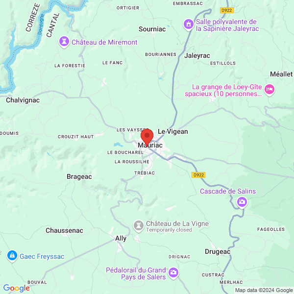 google map