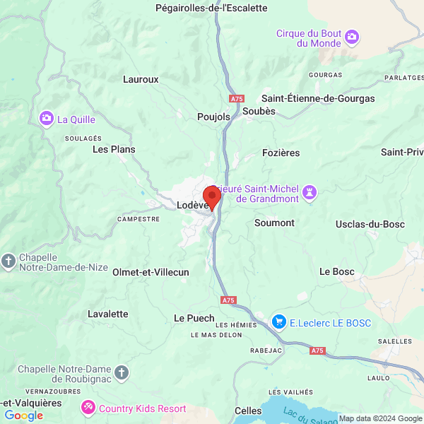 google map